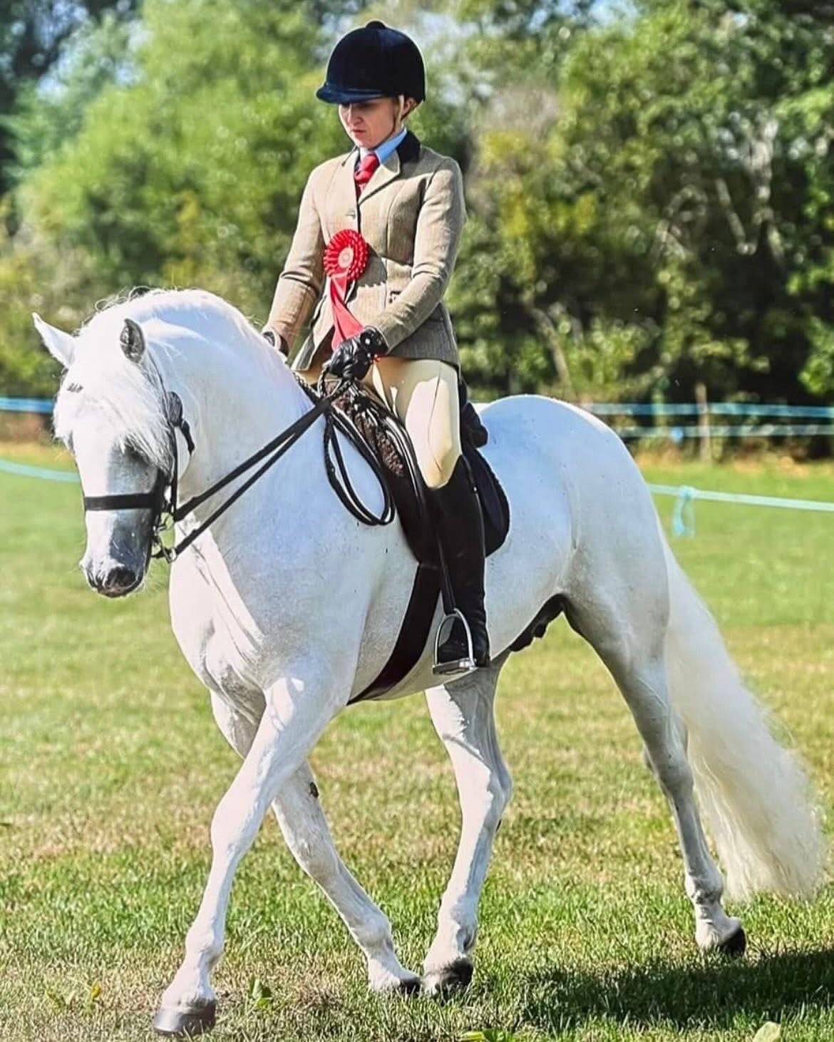 Moyabbey George β Ribble View Stud